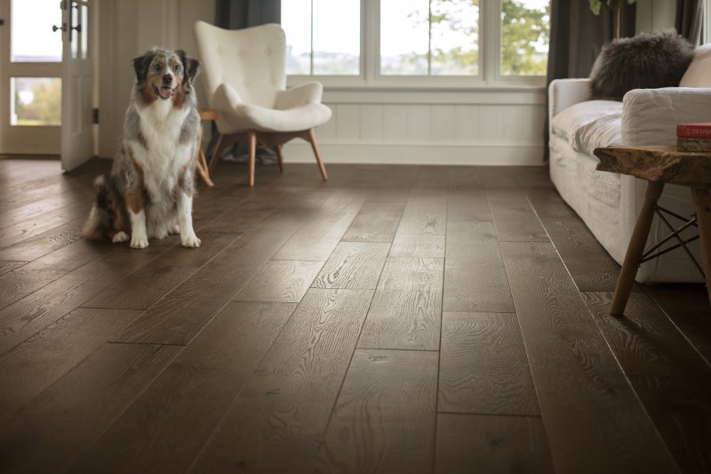 Pet friendly floor | Chillicothe Carpet