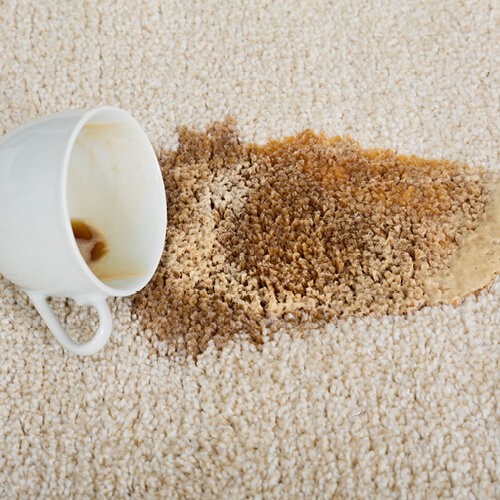 Stain on Carpet | Chillicothe Carpet