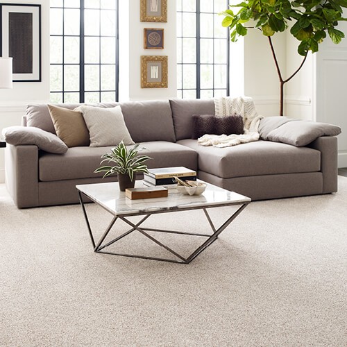 Carpet in living room | Chillicothe Carpet