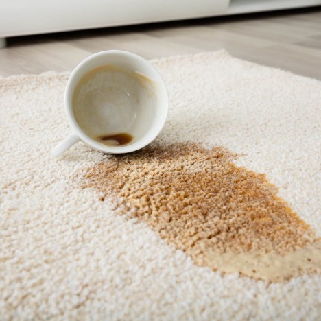 Coffee spill on area rug | Chillicothe Carpet