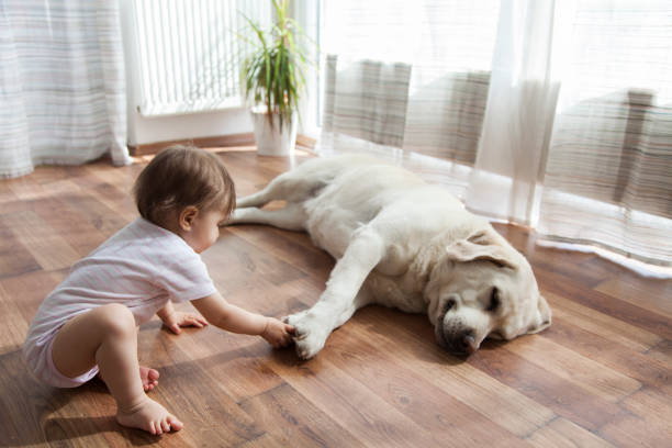 Kid playing with dog | Chillicothe Carpet